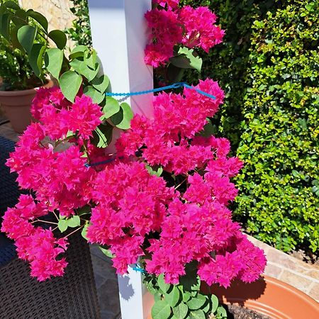 Villa Mariamar Albufeira Eksteriør billede